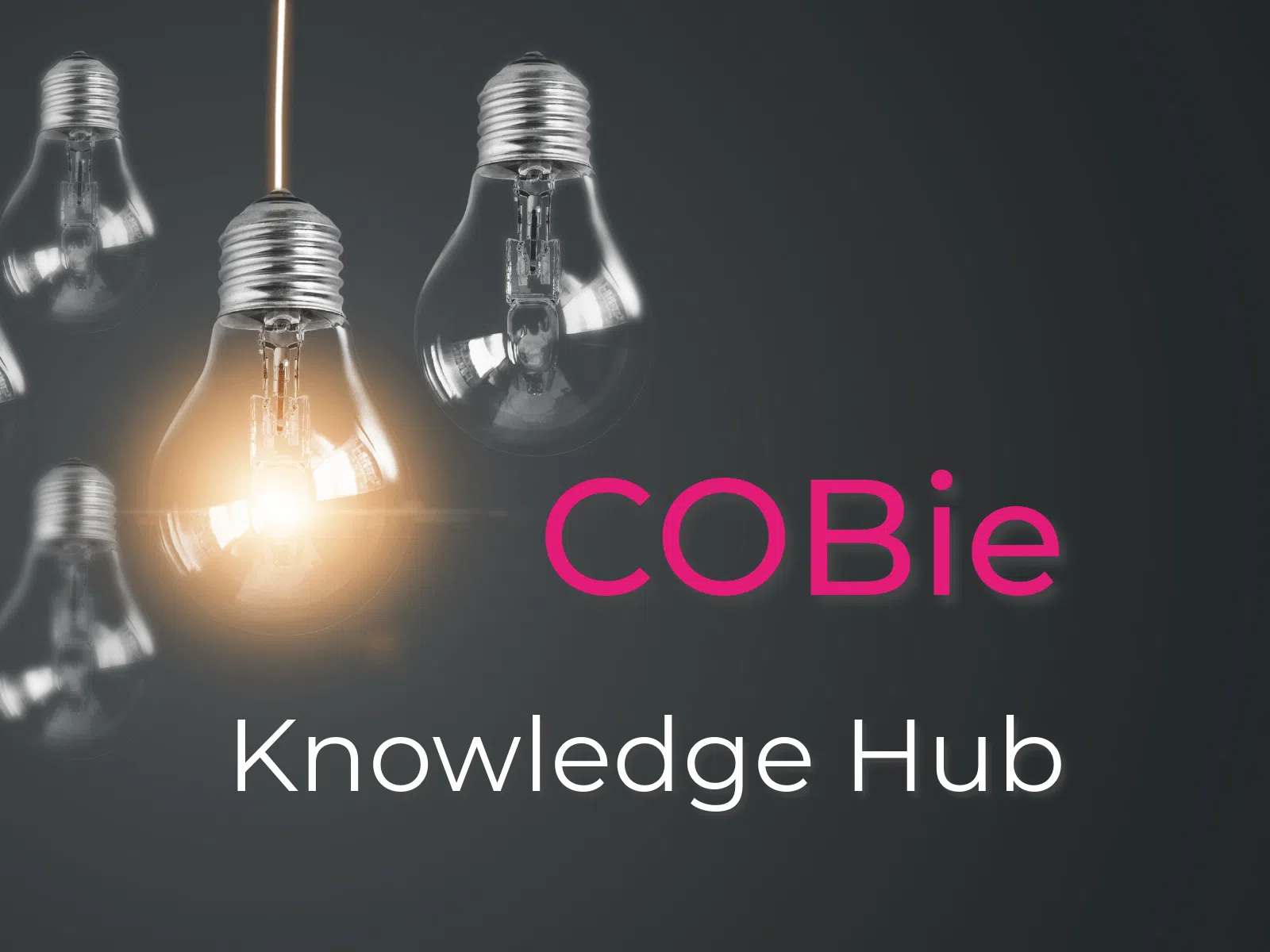 What is COBie?